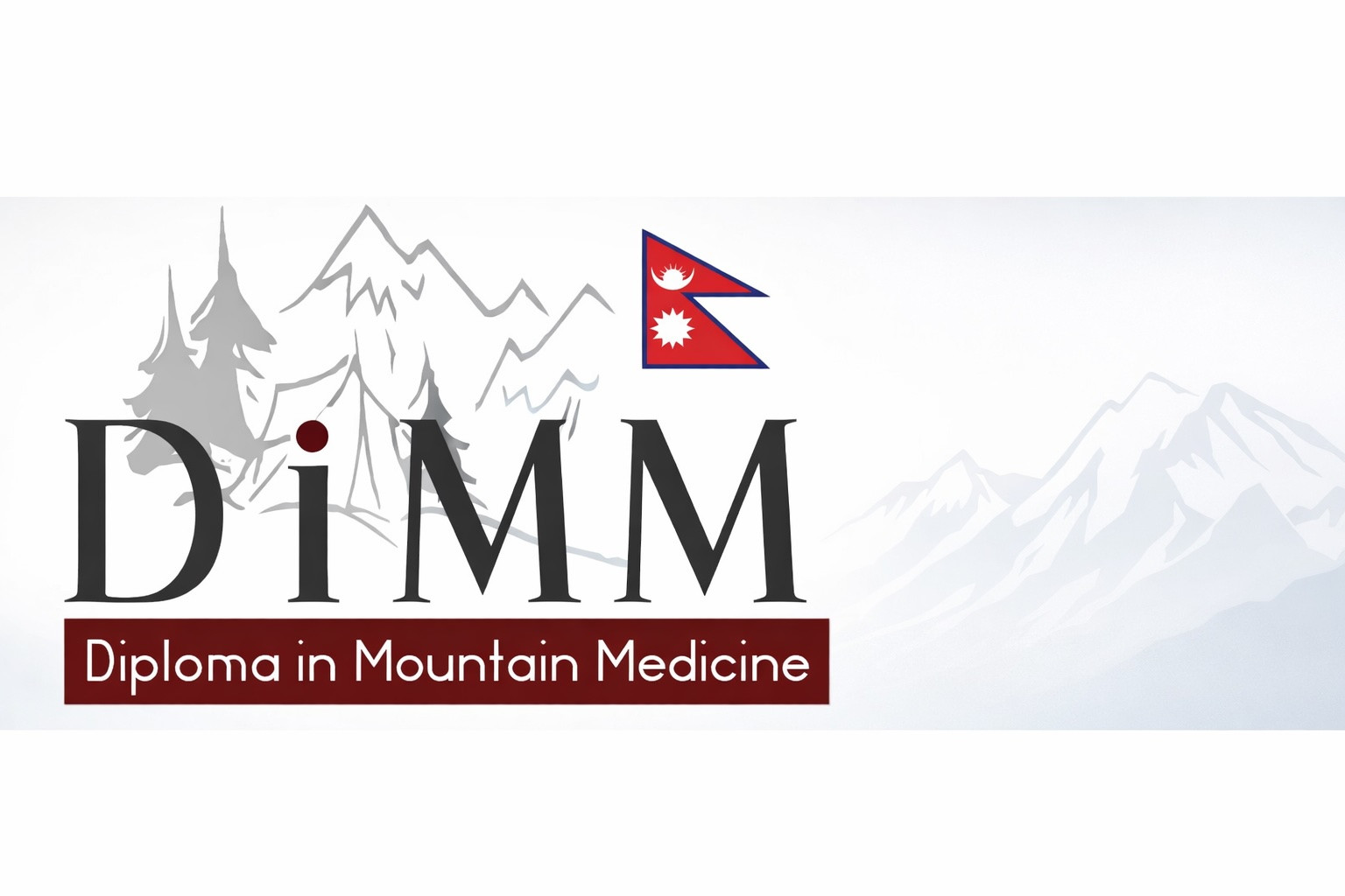 MMSN Diploma